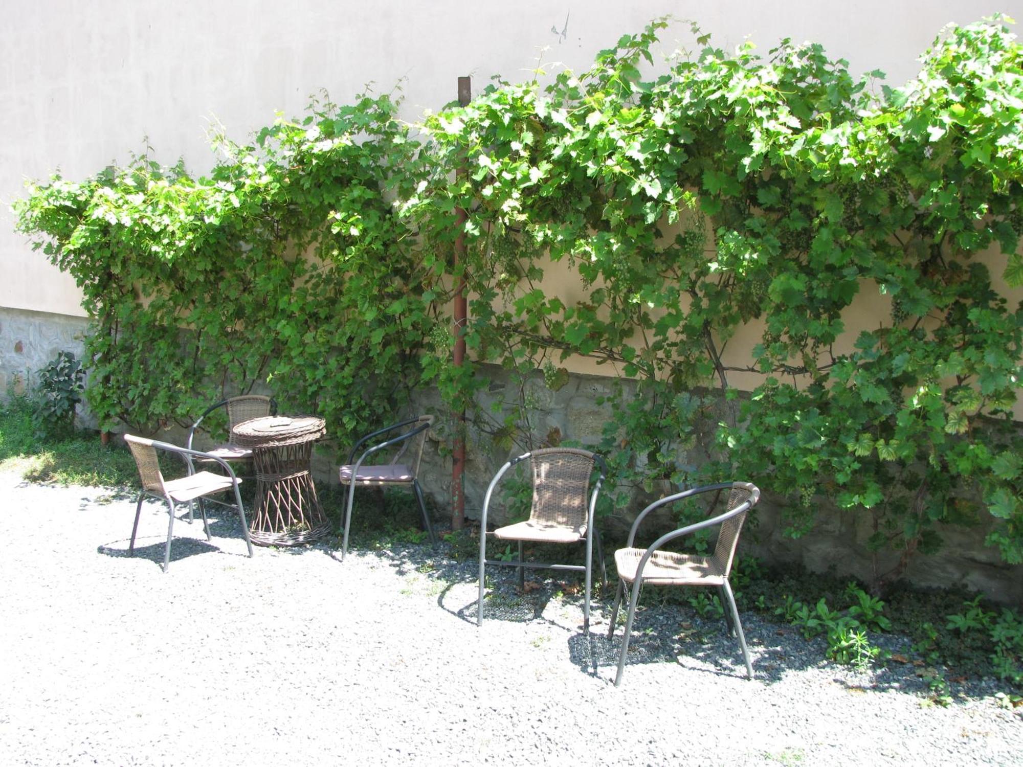 Happy Guests * Sibiu